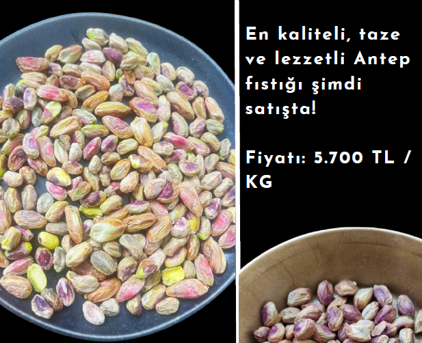 Premium Antep Pistachio (Roasted – 1kg)